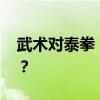 武术对泰拳 武术如何战胜五百年不败之泰拳？