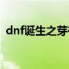 dnf诞生之芽有什么用(dnf诞生之芽怎么卖)
