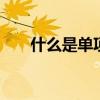什么是单项式 你了解什么是单项式吗