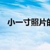 小一寸照片的尺寸是多少 各类证件照尺寸
