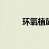 环氧植筋胶 环氧树脂植筋胶用法