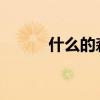 什么的森林 什么森林？(填两字)