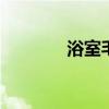 浴室毛巾架 卫浴毛巾置物架