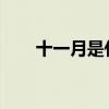 十一月是什么星座？十一月星座特征