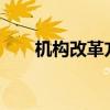 机构改革方案(2021年机构改革方案)