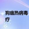 狗瘟热病毒 犬瘟热的病原、症状、预防与治疗 狗瘟热病毒 犬瘟热的病原、症状、预防与治疗