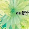 au是什么(au全称是什么意思)
