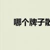 哪个牌子散粉(最好的控油散粉排行榜)