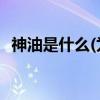 神油是什么(为什么说清凉油能让女人上天)