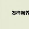 怎样调养胃！ 胃不好要如何养胃？