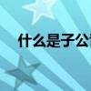 什么是子公司(怎么查公司的所有子公司)