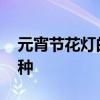 元宵节花灯的种类有哪些 元宵节灯笼有多少种