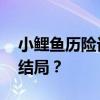 小鲤鱼历险记大结局 谁还记得小鲤鱼最后的结局？