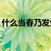 什么当春乃发生 当春乃发生的上一句是什么?