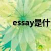 essay是什么意思(文章中essay的含义)