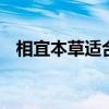 相宜本草适合年龄 相宜本草哪个系列最好 相宜本草适合年龄 相宜本草哪个系列最好
