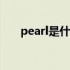 pearl是什么意思(pear键是什么意思)