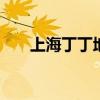上海丁丁地图网 上海立体地图高清版