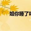 姐你睡了吗歌词 姐你睡了吗歌词含义