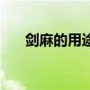 剑麻的用途 种植剑麻有什么用途 优质