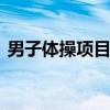 男子体操项目 东京奥运会体操项目实力分析