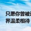 只愿你曾被这世界温柔相待 只愿你曾被这世界温柔相待