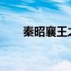 秦昭襄王之子 秦昭襄王有几个儿子？