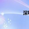 深圳地毯清洗公司推荐