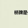桥牌是什么(零基础怎么学桥牌)