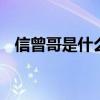信曾哥是什么意思 曾哥是什么梗什么植物