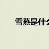 雪燕是什么 雪燕和燕窝的区别是什么