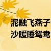 泥融飞燕子沙暖睡鸳鸯的意思 泥融飞燕子，沙暖睡鸳鸯丨读典