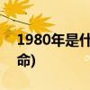 1980年是什么命(1980年属猴一生有二婚之命)