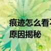 痕迹怎么看不了了 痕迹电视剧下架怎么回事原因揭秘