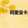 阿里宝卡是什么(阿里宝卡能拒收吗)