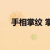 手相掌纹 掌纹的秘密全图解的含义介绍 手相掌纹 掌纹的秘密全图解的含义介绍