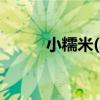小糯米(小糯米4岁时的正面照片)