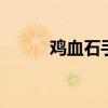 鸡血石手链 鸡血石毛料原石图片