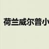 荷兰威尔普小镇 荷兰最美十大小镇系列介绍