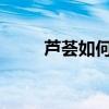 芦荟如何美化芦荟的四大美容功效