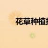 花草种植技术 教你如何种植好花卉？