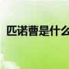 匹诺曹是什么意思 匹诺曹是个怎样的孩子？
