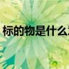 标的物是什么意思(金融市场按标的物可分为) 标的物是什么意思(金融市场按标的物可分为)
