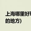 上海哪里好玩又免费(上海有哪些值得去看看的地方)