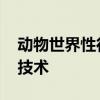 动物世界性行为驴 母驴配种周期及相关繁殖技术