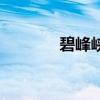 碧峰峡门票多少钱（碧峰峡）