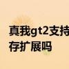 真我gt2支持内存融合技术吗 真我GT2支持内存扩展吗 