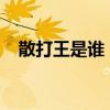 散打王是谁 国宝级散打巨人叶翔有多强？