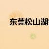 东莞松山湖好玩吗(东莞松山湖景点图片)