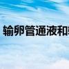 输卵管通液和输卵管造影区别(输卵管通液) 输卵管通液和输卵管造影区别(输卵管通液)